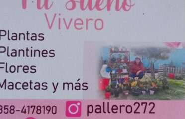 Mi Sueño Vivero